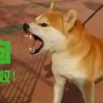 网赌赌狗日记-博彩汇网-博彩策略网-博彩论坛